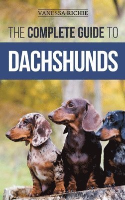 Vanessa Richie - Complete Guide to Dachshunds, Inbunden