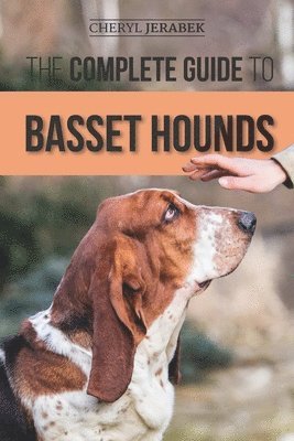 Cheryl Jerabek - Complete Guide to Basset Hounds, Häftad