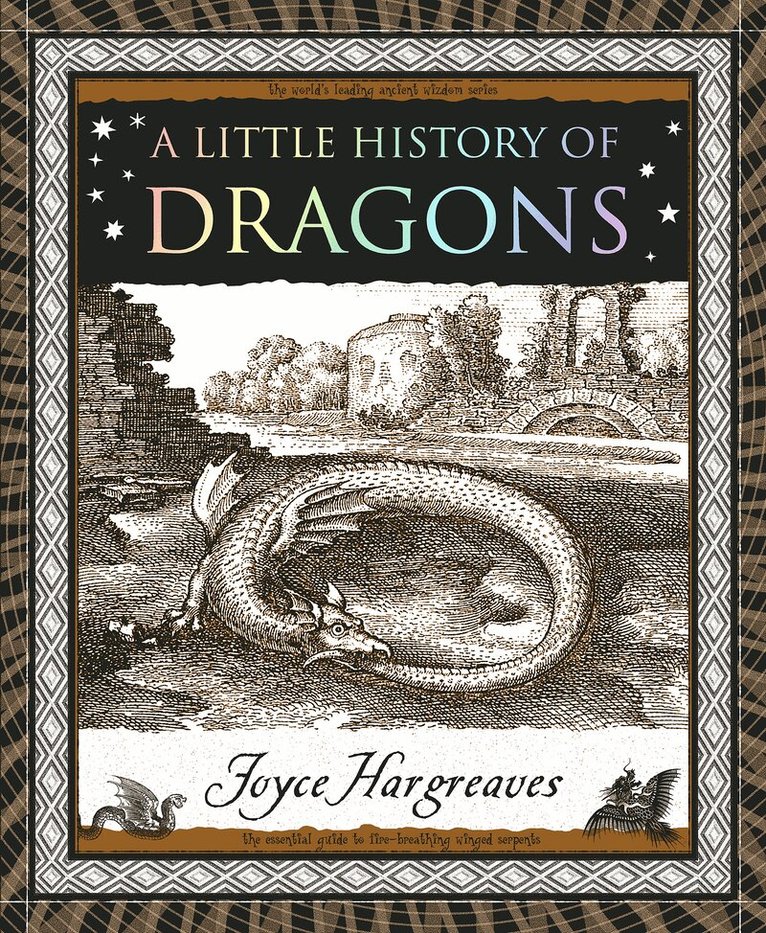 Joyce Hargreaves - A Little History of Dragons, Häftad