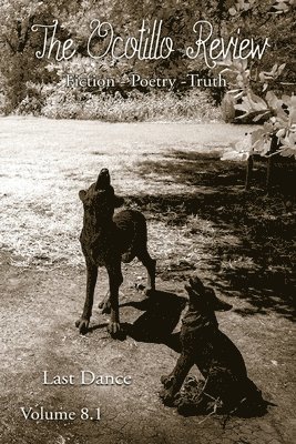 Mary Day Day Long - Ocotillo Review Volume 8.1, Häftad