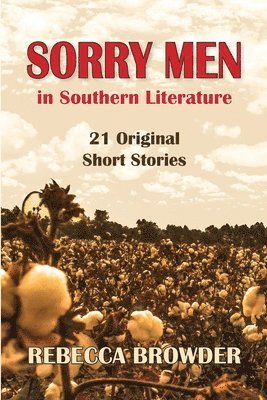 Rebecca Browder - Sorry Men in Southern Literature, Häftad