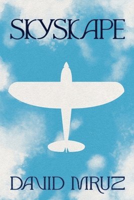 David Mruz - Skyskape, Häftad