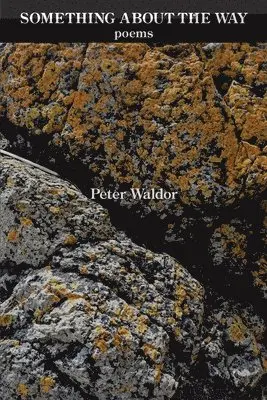 Peter Waldor - Something About the Way, Häftad. Tillgänglighet: Lägg i varukorg