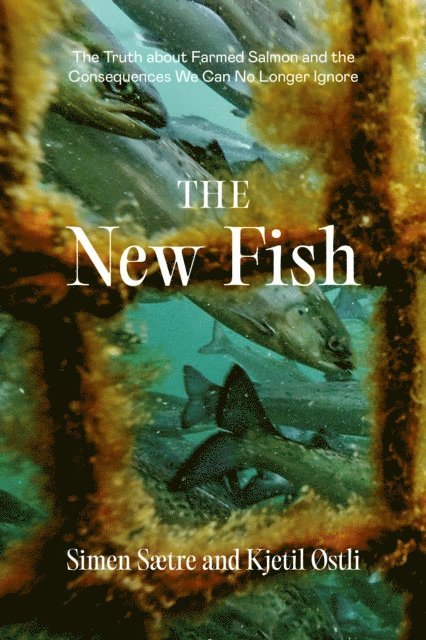Kjetil Ostli, Simen Saetre - New Fish, E-bok