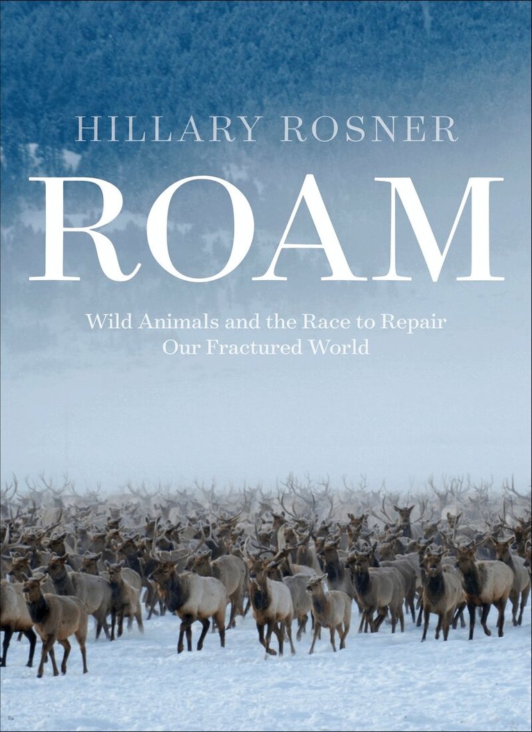Hillary Rosner - Roam, Inbunden
