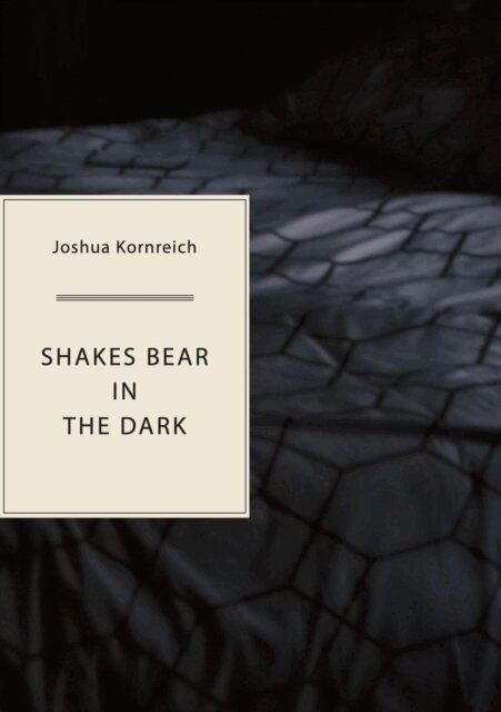 Joshua Kornreich - Shakes Bear in the Dark, E-bok