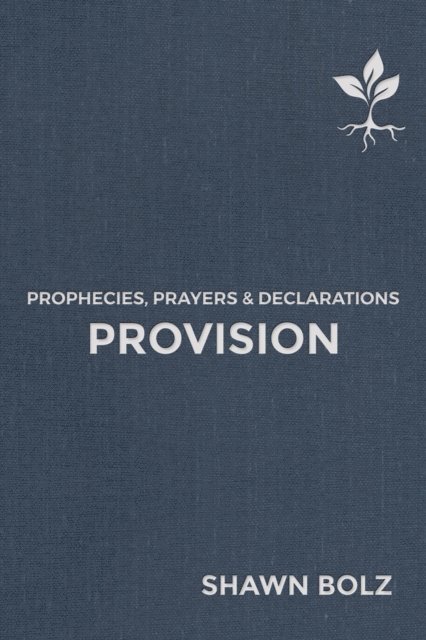 Shawn Bolz - Provision, E-bok