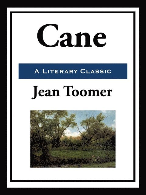 Jean Toomer - Cane, E-bok