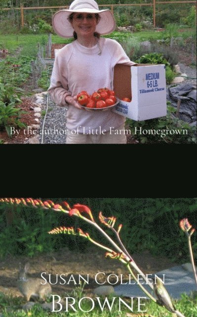 Susan Colleen Browne - Little Farm in the Garden: A Practical Mini-Guide to Raising Selected Fruits and Vegetables Homestead-Style, E-bok. Tillgänglighet: Lägg i varukorg