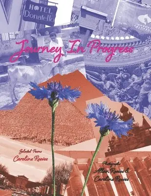 Caroline Reeves - Journey In Progress, Häftad. Tillgänglighet: Lägg i varukorg
