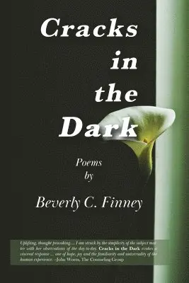 Beverly C Finney - Cracks in the Dark, Häftad. Tillgänglighet: Lägg i varukorg