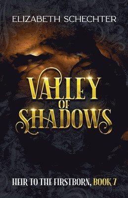 Elizabeth Schechter - Valley of Shadows, Häftad