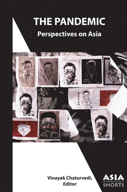 Vinayak Chaturvedi - Pandemic, E-bok