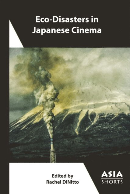 Rachel DiNitto - Eco-Disasters in Japanese Cinema, E-bok