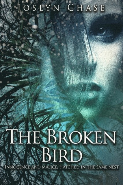 Joslyn Chase - Broken Bird, E-bok
