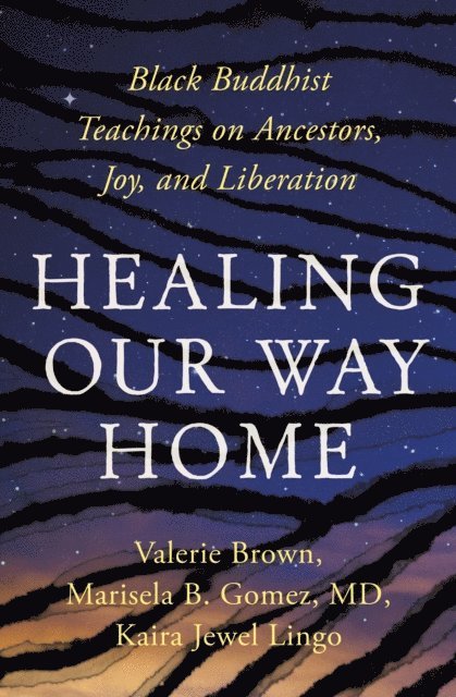 Marisela B. Gomez, Valerie Brown, Kaira Jewel Lingo - Healing Our Way Home, E-bok