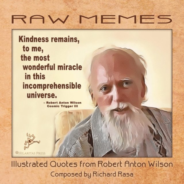 TBD - RAW Memes, E-bok