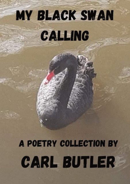 Carl Butler, Amanda Benton - My Black Swan Calling, E-bok