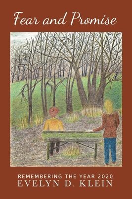 Evelyn D Klein - Fear and Promise, Häftad