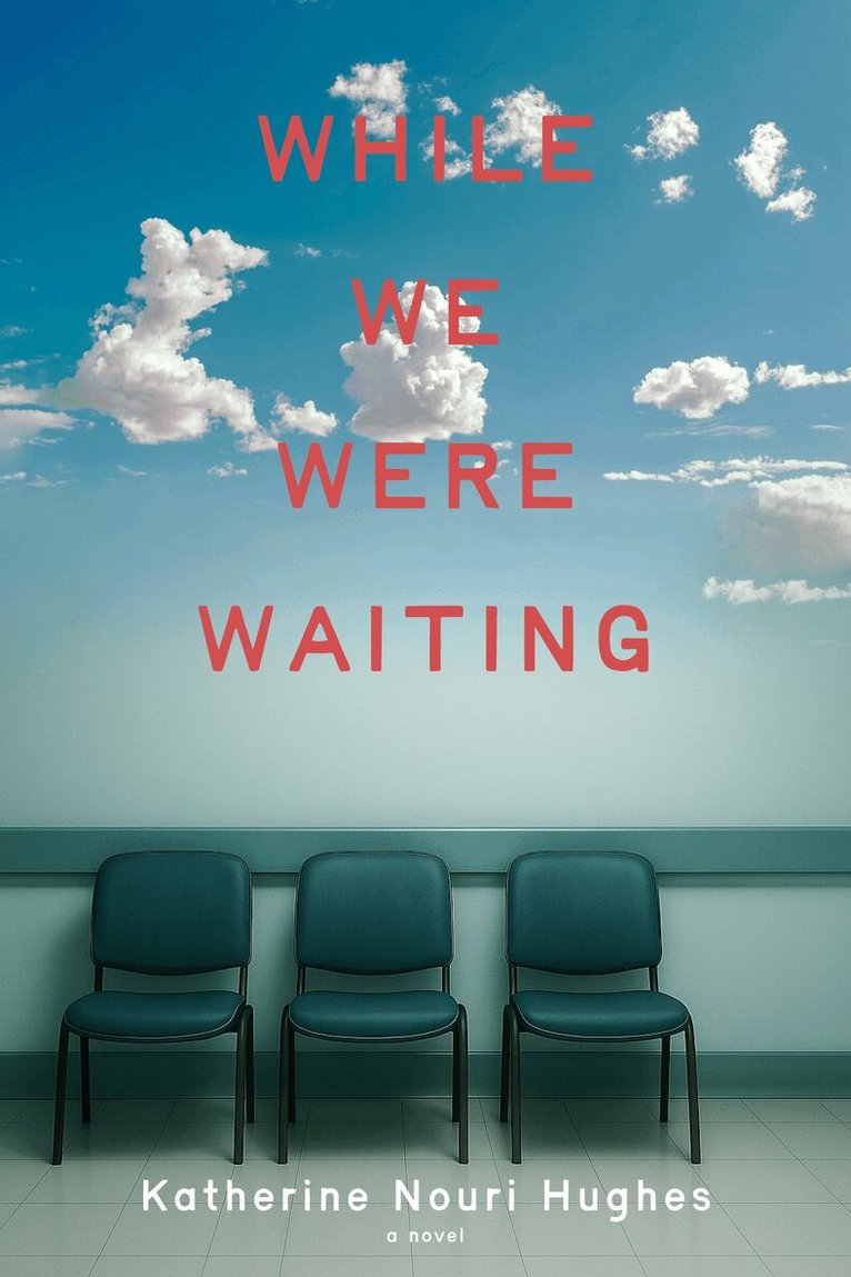 Katherine Nouri Hughes - While We Were Waiting, Inbunden