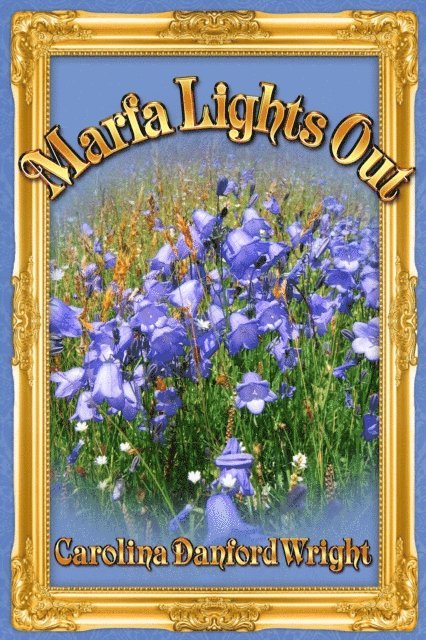 Carolina Danford Wright - Marfa Lights Out, E-bok