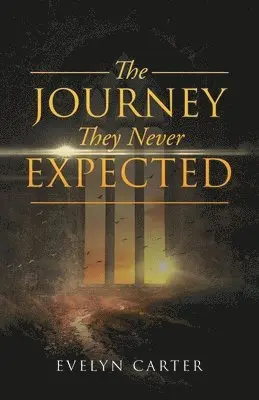 Evelyn Carter - Journey They Never Expected, Häftad. Tillgänglighet: Tillfälligt slut