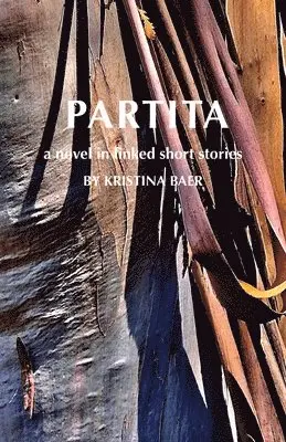 Kristina Baer - Partita-a novel in linked short stories, Häftad. Tillgänglighet: Lägg i varukorg