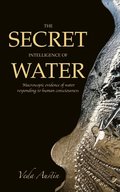 Secret Intelligence of Water