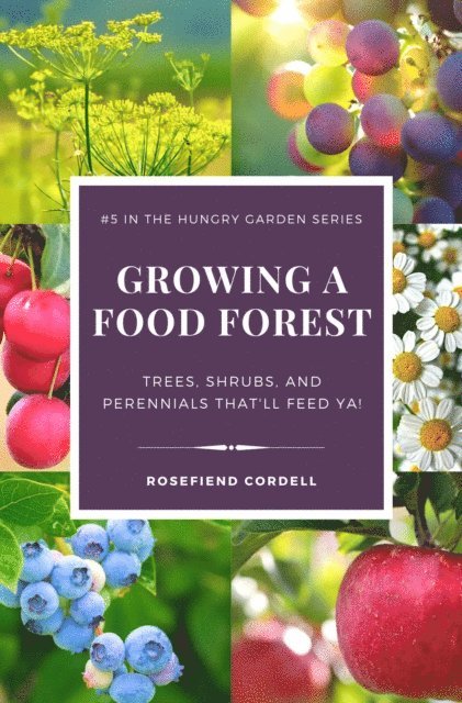 Growing a Food Forest - Trees, Shrubs, & Perennials That'll Feed Ya!