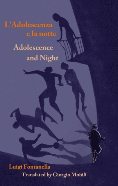 Luigi Fontanella - Ladolescenza e- la notte/Adolescence and Night, E-bok