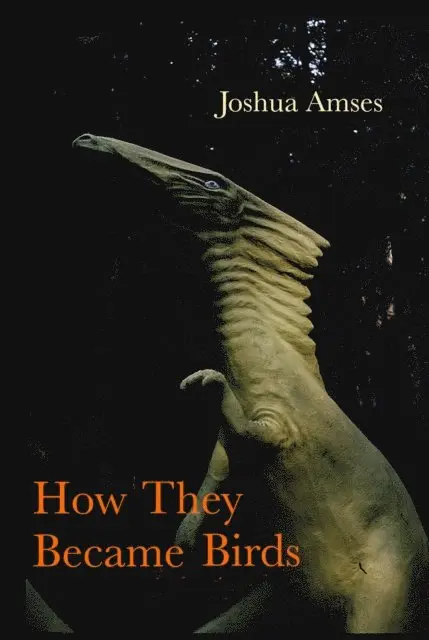Joshua Amses - How They Became Birds, E-bok. Tillgänglighet: Lägg i varukorg