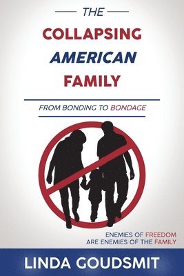 Linda Goudsmit - Collapsing American Family, Häftad