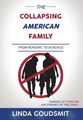 Linda Goudsmit - Collapsing American Family, Inbunden