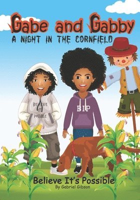 Terri Gibson, Gabriel Gibson - Gabe and Gabby, a Night in the Cornfield: Believe It's Possible, Häftad