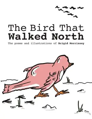Brigid Morrissey - Bird That Walked North, Häftad. Tillgänglighet: Lägg i varukorg
