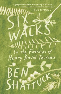 Ben Shattuck - Six Walks: In the Footsteps of Henry David Thoreau, Inbunden