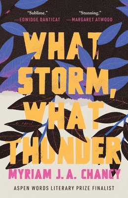 Myriam J. a. Chancy - What Storm, What Thunder, Häftad
