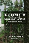 Plant Fossil Atlas From (Pennsylvanian) Carboniferous Age Found in Central Appalachian Coalfields