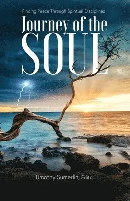 Timothy Sumerlin - Journey of the Soul, Häftad. Tillgänglighet: Lägg i varukorg