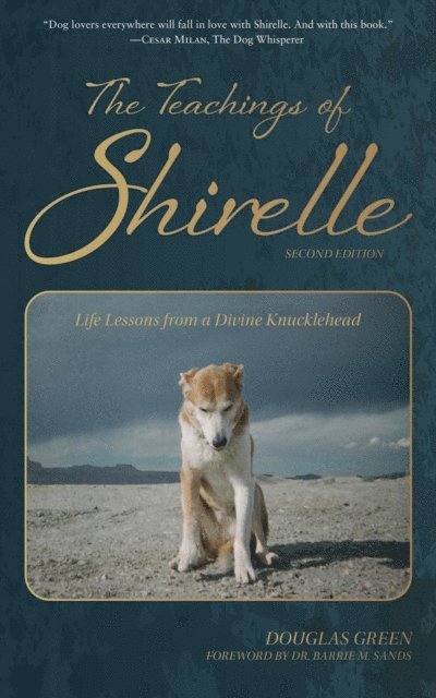 Douglas Green - Teachings of Shirelle, E-bok