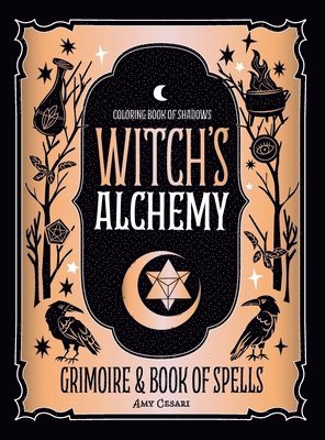 Amy Cesari - Coloring Book of Shadows, Inbunden. Tillgänglighet: Lägg i varukorg