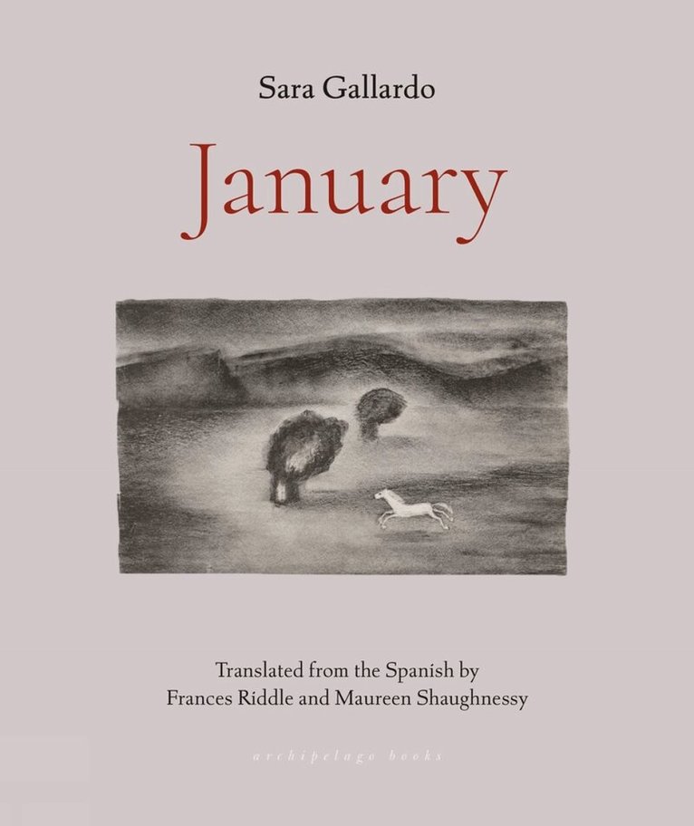 Sara Gallardo - January, Häftad