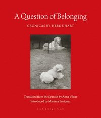 Question of Belonging