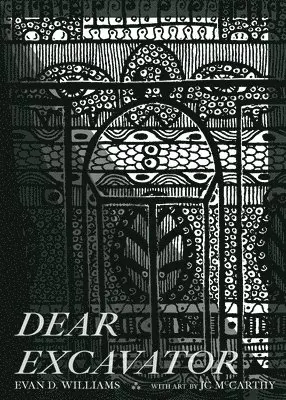Evan D Williams - Dear Excavator, Häftad. Tillgänglighet: Lägg i varukorg