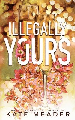 Kate Meader - Illegally Yours, Häftad