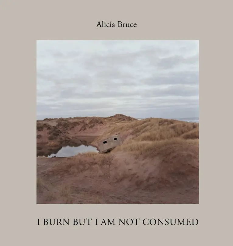 Alicia Bruce - I Burn But Am Not Consumed, Inbunden. Tillgänglighet: Lägg i varukorg