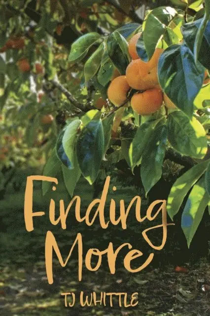 TJ Whittle - Finding More, E-bok. Tillgänglighet: Lägg i varukorg