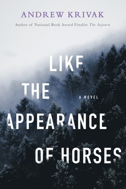 Andrew Krivak - Like the Appearance of Horses, E-bok
