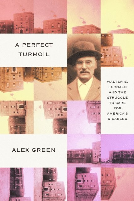 Alex Green - Perfect Turmoil, E-bok