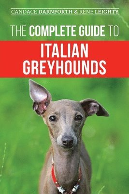 Rene Leighty, Candace Darnforth - Complete Guide to Italian Greyhounds, Häftad